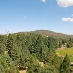 Palomar_0069 (September 10, 2011)